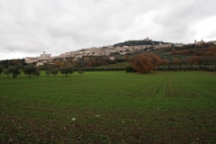 Assisi2016_ClaudiaDonati4
